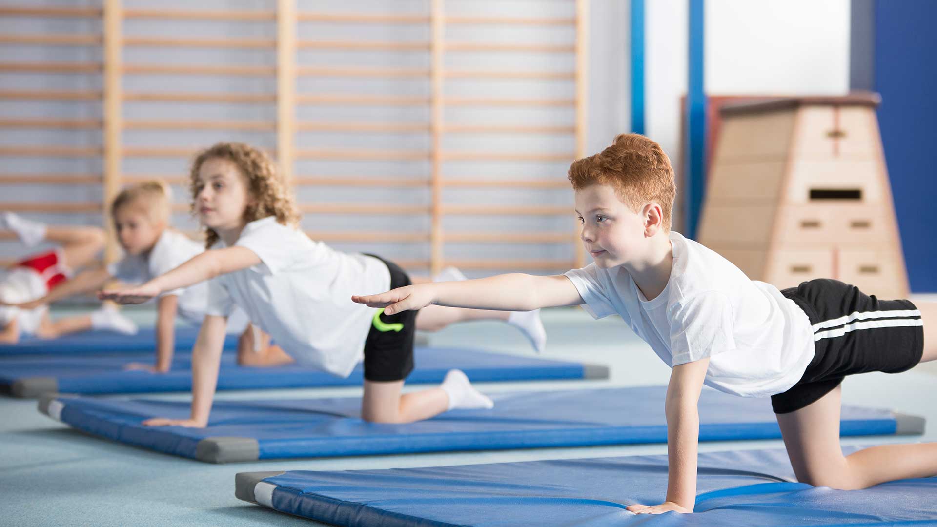 Gymnastics Programs Banner 031321